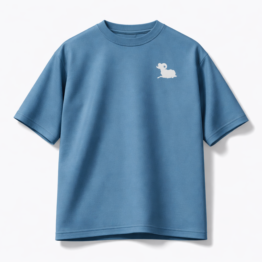 Blue t-shirt with a small white logo on a white background